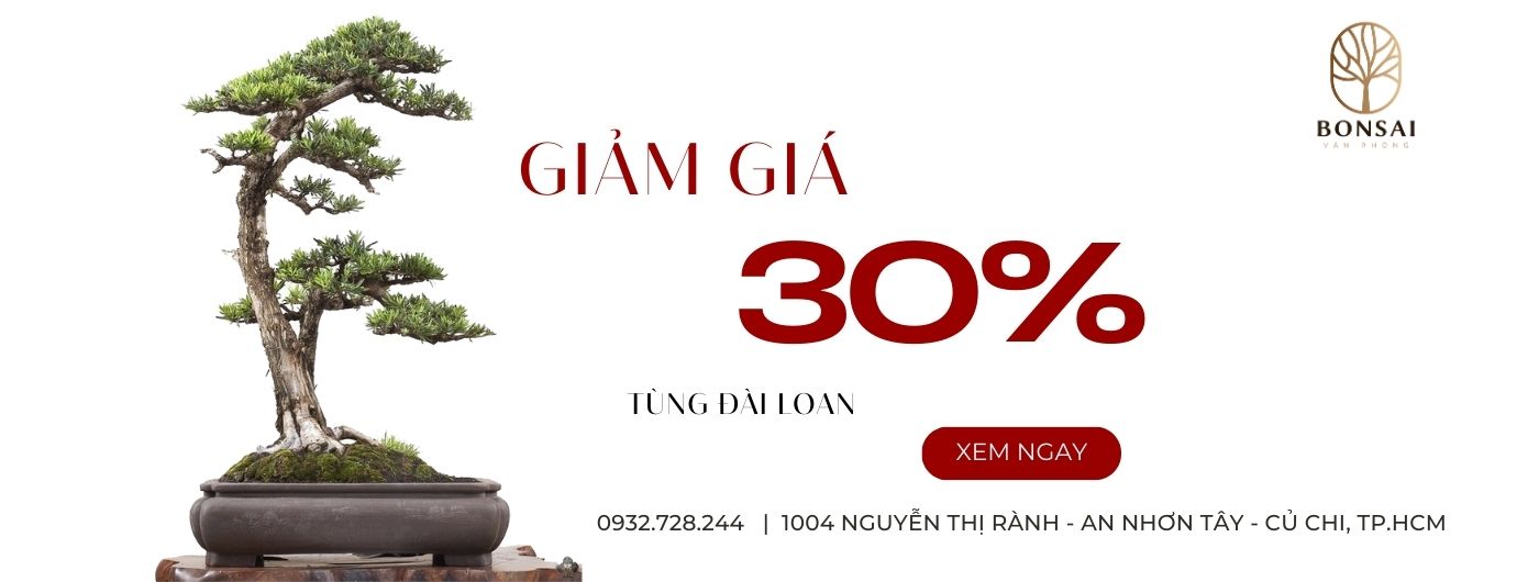 Banner Khuyến mãi